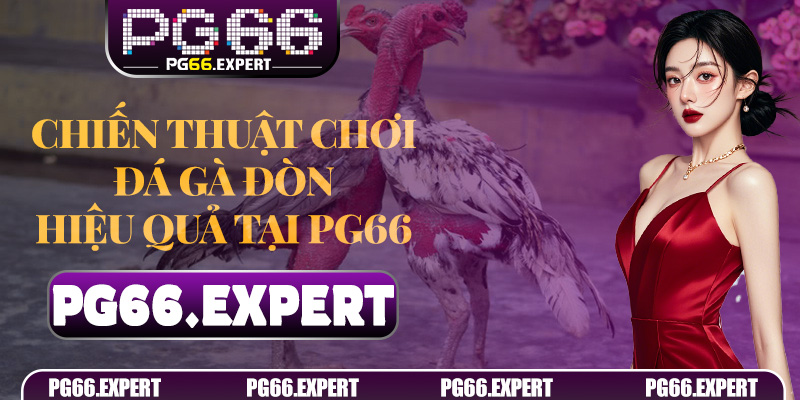Đá Gà Đòn PG66 – Trò Chơi Cá Cược Đỉnh Cao Cho Người Chơi Thông Minh 6 Chiến thuật chơi Đá Gà Đòn hiệu quả tại PG66