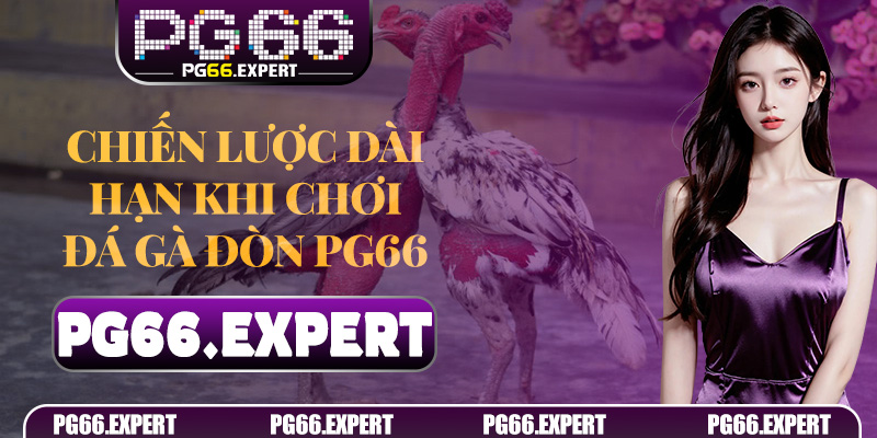 Đá Gà Đòn PG66 – Trò Chơi Cá Cược Đỉnh Cao Cho Người Chơi Thông Minh 7 Chiến lược dài hạn khi chơi Đá Gà Đòn PG66