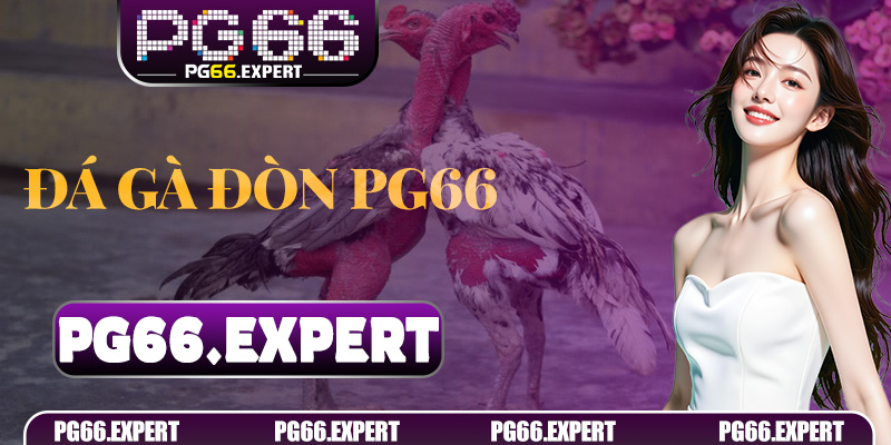 Đá Gà Đòn PG66 – Trò Chơi Cá Cược Đỉnh Cao Cho Người Chơi Thông Minh 4 Đá Gà Đòn PG66 – Trò Chơi Cá Cược Đỉnh Cao Cho Người Chơi Thông Minh